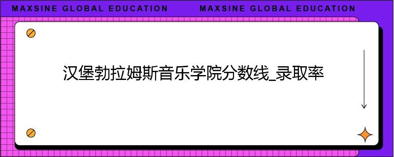 汉堡勃拉姆斯音乐学院分数线_录取率