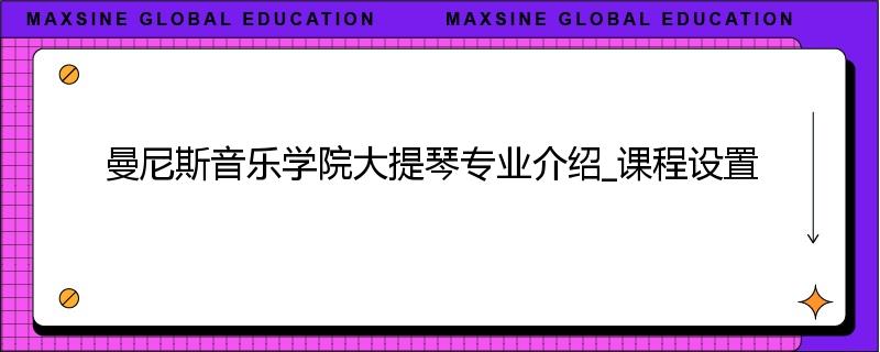 曼尼斯音乐学院大提琴专业介绍_课程设置