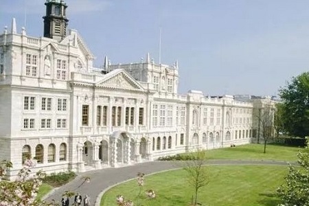 英国卡迪夫大学排名多少位？